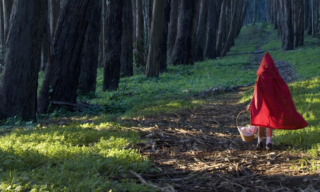 Storytelling for personal branding: A ‘must-have’