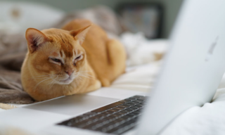 Skills to learn in 2022